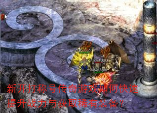 �¿���ƺŴ�����Ϸ��ο�������ս�����ȡϡ��װ����