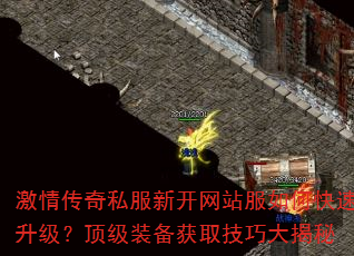 ���鴫��˽���¿���վ����ο�������������װ����ȡ���ɴ����