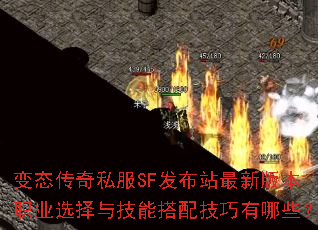 ��̬����˽��SF����վ���°汾ְҵѡ���뼼�ܴ��似������Щ��