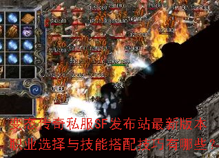 ��̬����˽��SF����վ���°汾ְҵѡ���뼼�ܴ��似������Щ��