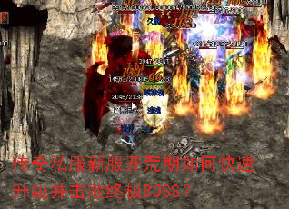 ����˽���·���������ο��������������ռ�BOSS��