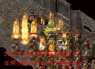 2025�굥ְҵ����˽��������ο�������ս����ˢװ����