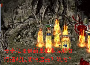 ����˽�����µ�ְҵ������δ��似�ܿ�������ս����