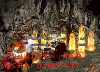 ����˽��ͨ����������ο���������ɫս���ư�ȫ����