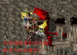 ���渨����ְҵΪ���ܳ�Ϊ�����ѡ��