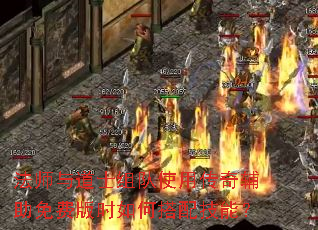 ��ʦ���ʿ���ʹ�ô��渨����Ѱ�ʱ��δ��似�ܣ�