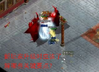 ���������ʱӦ���˽���Щ�ؼ�Ҫ�㣿