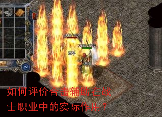 ������ۺϻ�������սʿְҵ�е�ʵ�����ã�