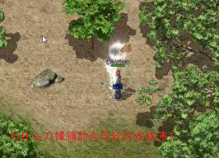 Ϊʲô���渨���ᵼ����Ϸ������