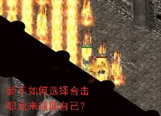 �������ѡ��ϻ�ְҵ�������Լ���