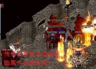 ����̿͸����ָ�����������ѡ��