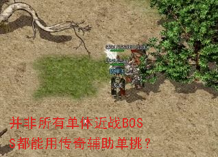 �������е����սBOSS�����ô��渨��������