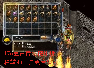 176���Ŵ���ʹ�����ָ������߸����ʣ�