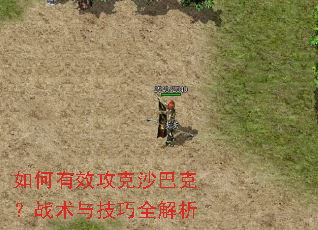 �����Ч����ɳ�Ϳˣ�ս���뼼��ȫ����