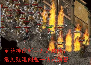 ������;���ֿ��Ĺ��ԣ�������������һվʽ���