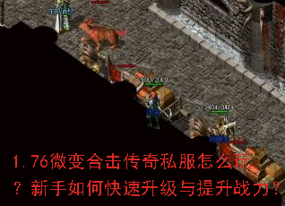 1.76΢��ϻ�����˽����ô�棿������ο�������������ս����