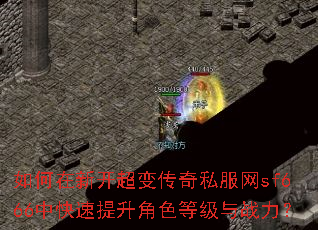 ������¿����䴫��˽����sf666�п���������ɫ�ȼ���ս����
