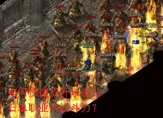 ��ο�����������ʯ��ְҵ��ս������