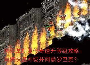 ���Ƶ�ְҵ���������ȼ����ԣ���ο��ٳ弶���ʶ�ɳ�Ϳˣ�