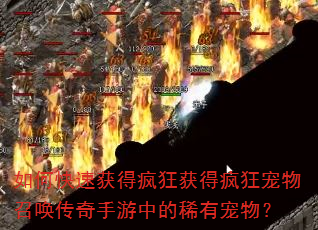 ��ο��ٻ�÷���÷������ٻ����������е�ϡ�г��