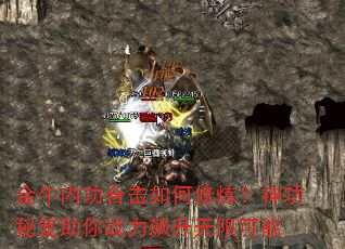 ��ţ�ڹ��ϻ��������������������ս��������޿���
