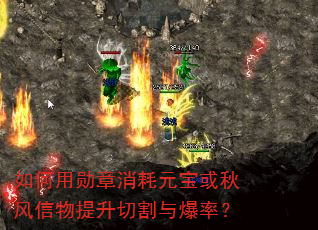�����ѫ������Ԫ����������������и��뱬�ʣ�
