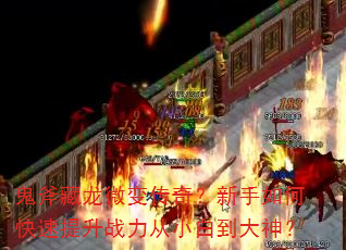 ��������΢�䴫�棿������ο�������ս����С�׵�����