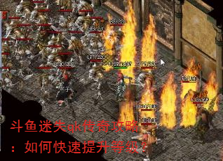������ʧqk���湥�ԣ���ο��������ȼ���