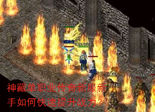 ��ص�ְҵ�����·�������ο�������ս����
