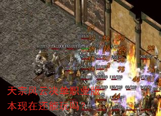 ���ڷ��ƾ���ְҵ�汾���ڻ�������