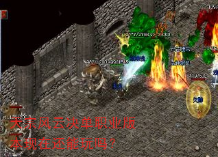 ���ڷ��ƾ���ְҵ�汾���ڻ�������