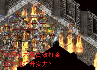 如何在本服高效打金并快速提升实力? 如何在本服高效打金并快速提升实力?
