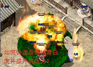 如何快速获得神兽白虎并提升其战力? 如何快速获得神兽白虎并提升其战力?