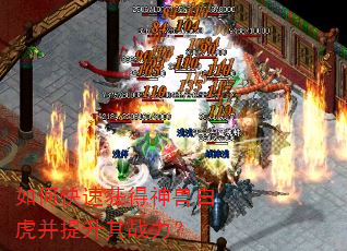 如何快速获得神兽白虎并提升其战力? 如何快速获得神兽白虎并提升其战力?