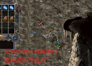 如何快速获得神兽白虎并提升其战力? 如何快速获得神兽白虎并提升其战力?