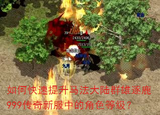 如何快速提升马法大陆群雄逐鹿999传奇新服中的角色等级? 如何快速提升马法大陆群雄逐鹿999传奇新服中的角色等级?