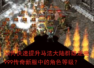 如何快速提升马法大陆群雄逐鹿999传奇新服中的角色等级? 如何快速提升马法大陆群雄逐鹿999传奇新服中的角色等级?