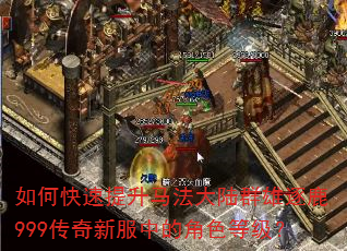 如何快速提升马法大陆群雄逐鹿999传奇新服中的角色等级? 如何快速提升马法大陆群雄逐鹿999传奇新服中的角色等级?