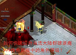 如何快速提升马法大陆群雄逐鹿999传奇新服中的角色等级? 如何快速提升马法大陆群雄逐鹿999传奇新服中的角色等级?