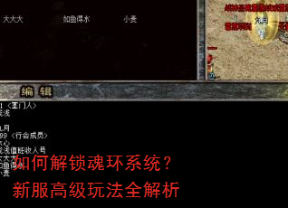 如何解锁魂环系统?新服高级玩法全解析 如何解锁魂环系统?新服高级玩法全解析