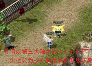如何以第三大陆之巅170157北丐·洪七公为核心制定高效升级攻略? 如何以第三大陆之巅170157北丐·洪七公为核心制定高效升级攻略?
