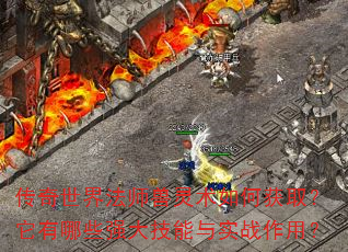 传奇世界法师兽灵术如何获取?它有哪些强大技能与实战作用? 传奇世界法师兽灵术如何获取?它有哪些强大技能与实战作用?