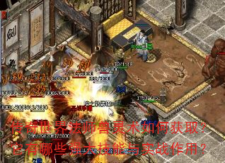 传奇世界法师兽灵术如何获取?它有哪些强大技能与实战作用? 传奇世界法师兽灵术如何获取?它有哪些强大技能与实战作用?