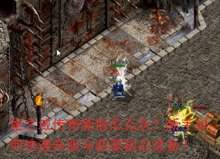 魔之域传奇新服怎么玩?新手如何快速升级与获取极品装备? 魔之域传奇新服怎么玩?新手如何快速升级与获取极品装备?