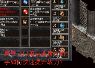灵界之门单职业传奇新手如何快速提升战力? 灵界之门单职业传奇新手如何快速提升战力?
