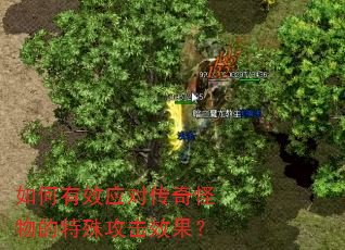 如何有效应对传奇怪物的特殊攻击效果? 如何有效应对传奇怪物的特殊攻击效果?
