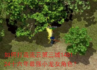 如何打造流云第三城148124十六年最强小龙女角色? 如何打造流云第三城148124十六年最强小龙女角色?