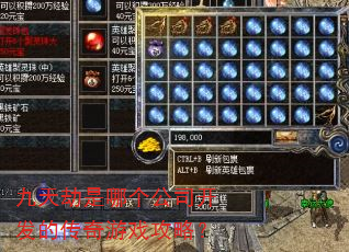 九天劫是哪个公司开发的传奇游戏攻略? 九天劫是哪个公司开发的传奇游戏攻略?