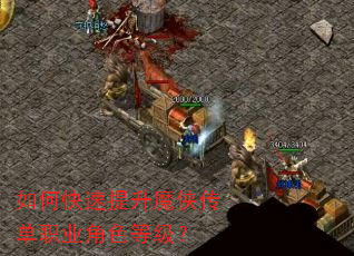 如何快速提升魔侠传单职业角色等级? 如何快速提升魔侠传单职业角色等级?
