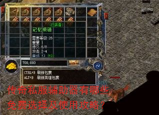 传奇私服辅助器有哪些免费选择及使用攻略? 传奇私服辅助器有哪些免费选择及使用攻略?